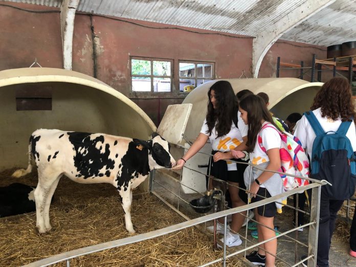 Els alumnes CUEME visiten La Fageda